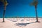 Summer holiday on tropical beach. Palm trees, blue sky. Playa de Muro, Spain