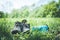 Summer holidays: Blue bottle of water and grey shoes in the green grass, copy space