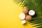 Summer holidays concept. Top view photo of white sunscreen bottle cream jars cracked coconuts and palm leaves on isolated yellow b