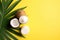 Summer holidays concept. Top view photo of white sunscreen bottle cream jars cracked coconuts and palm leaves on isolated yellow b