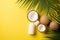 Summer holidays concept. Top view photo of white sunscreen bottle cream jars cracked coconuts and palm leaves on isolated yellow b