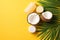 Summer holidays concept. Top view photo of white sunscreen bottle cream jars cracked coconuts and palm leaves on isolated yellow b