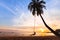 Summer holidays, happy woman on the swing on tropical beach , vacation