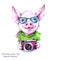Summer holidays illustration. Watercolor cartoon pig with glasses and camera. Funny photographer. Traveling. Symbol of