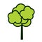 Summer Icon Tree. Vector outline Illustration. Plant in Garden. EPS file.