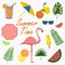 Summer icons set - flamingo. Elements for design cards, poster. Vector.