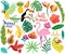 Summer icons with tropical birds and exotic flowers vector illustration