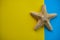 Summer inspired composition. Greeting card with copy space. Blue and yellow background decorated with starfish. Summer concept