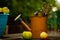 Summer installation of vintage watering can and wildflowers, wooden table