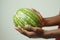 Summer joy mens hands embrace a watermelon on white canvas