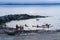 Summer kayaking in Greenland, Nuuk area