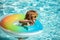 Summer kids vacation concept. Summertime child weekend. Boy in swiming pool. Kid at aquapark with inflatable rubber