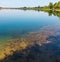 Summer lake bottom with algae