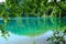 Summer lake idyll green shades reflected on water surface