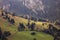 Summer landscape above the village