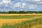 Summer landscape. Agricultural fields along road. Finland