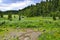 Summer landscape in Altai mountains with creek, alpine meadow an