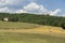 Summer landscape in the Arezzo province