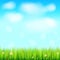 Summer landscape background, green, natural grass border with white daisies, camomile flower and small red ladybug. Blue