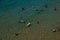 Summer landscape beach and sea top view in summer day benidom spain