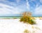 Summer landscape of a beautiful Florida beach