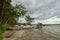 Summer landscape. Beautiful view of the coastal pine lying on the water in cloudy weather.