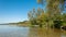 Summer landscape. beautiful views of the coast of a large lake with trees over the water and cane under the clear blue sky