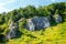 Summer landscape in Bedkowska Valley