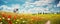 Summer landscape with bicycle and meadows full of flowers. Holiday sunshine banner