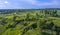 Summer landscape with a bird`s eye view, fields, ravines and birch trunks