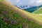 Summer landscape with blossoming mountain valley in Georgia