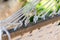 Summer landscape with blue sky and alpine meadowclose up hammock relaxation concept photo