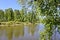 Summer landscape - A calm flat river among fields and birch groves under a blue sky.