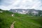 Summer landscape on a cloudy day in the mountains with a trail, flowers and snow. Russia, Adygea