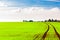 Summer landscape with curved tracks in green field