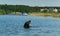 Summer landscape fisherman in the water lake