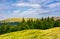 Summer landscape with forested hills