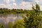 Summer landscape with a full river and a dense forest along the banks, selective focus