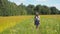 Summer landscape, girl, field of flax