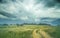 Summer landscape with grass, road and clouds