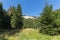 Summer landscape of The Grassy Trevistoto Smolyan lake at Rhodope Mountains, Smolyan Region, Bulgaria