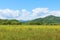 Summer landscape with green grass, hills and clouds