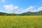 Summer landscape with green grass, hills and clouds