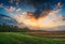 Summer landscape with green grass, road