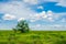 Summer landscape with a green meadow, yellow flowers and a lone tree against a vast blue sky with clouds