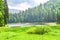 Summer landscape with green valley, pine forest, lake and mountains at distance in in Carpathians, Ukraine