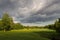 Summer landscape of green woods and river, overgrown with wild grasses. Meadow surrounded by a mixed forest.