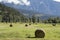 Summer landscape with hay bales and mountains. Hayfield near Pemberton, Canada. Countryside.