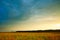 Summer landscape with hayfield