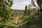 Summer landscape and hiking trail in Luneburg Heath